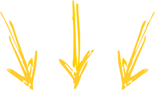 indicação